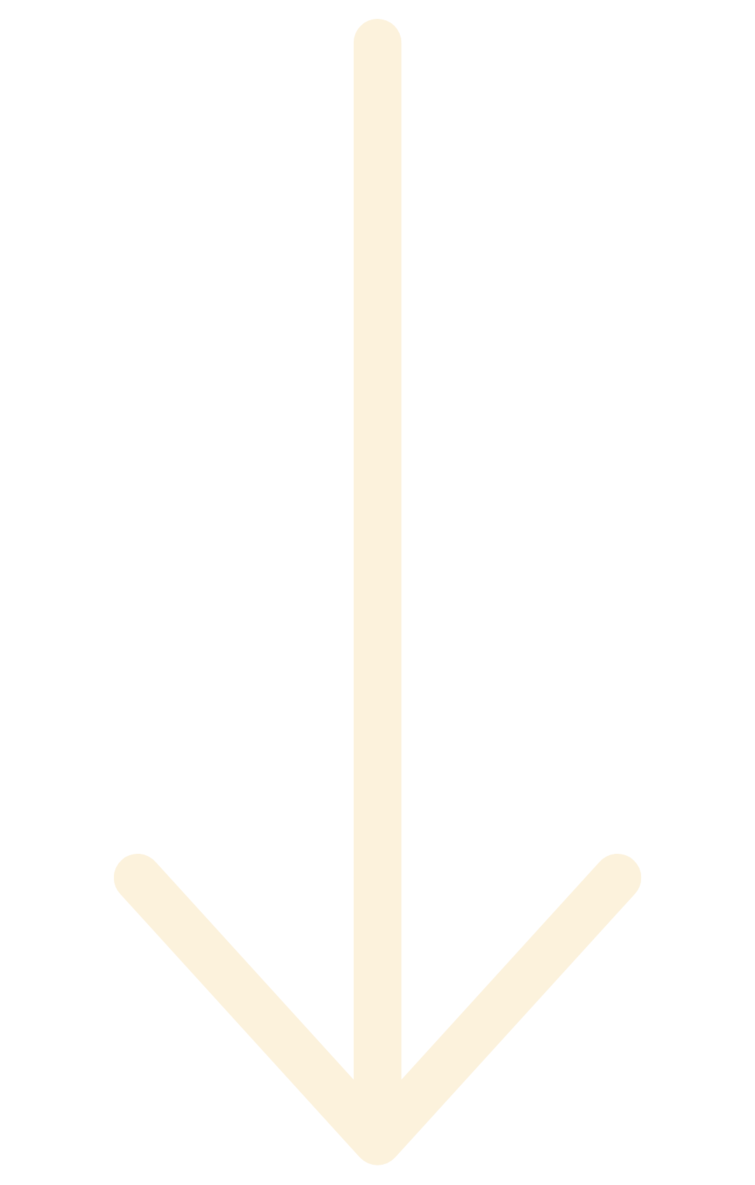 A minimalist graphic featuring a white vertical arrow pointing downward with a light cream-colored circular arrowhead at the bottom.